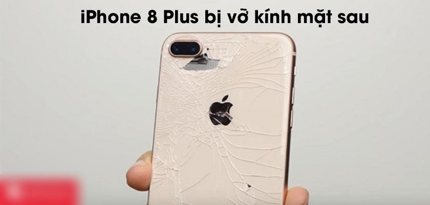 Thay Kính Lưng iPhone 8 Plus