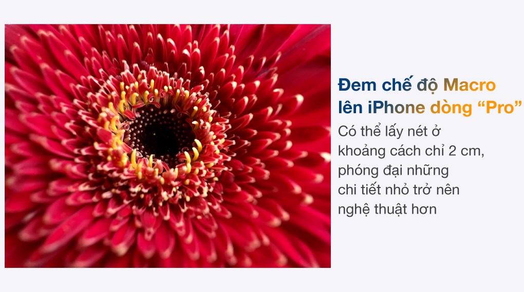 vi-vn-iphone-13-pro-slider-anh-macro