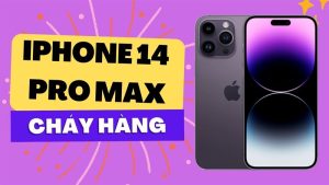 chay hang 14 promax