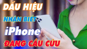 5 dau hieu iphone sap hong